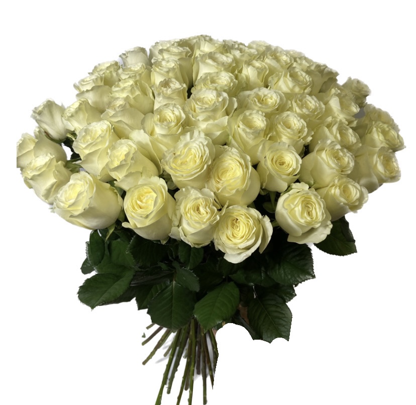 Іванна 61 шт-70 см image
