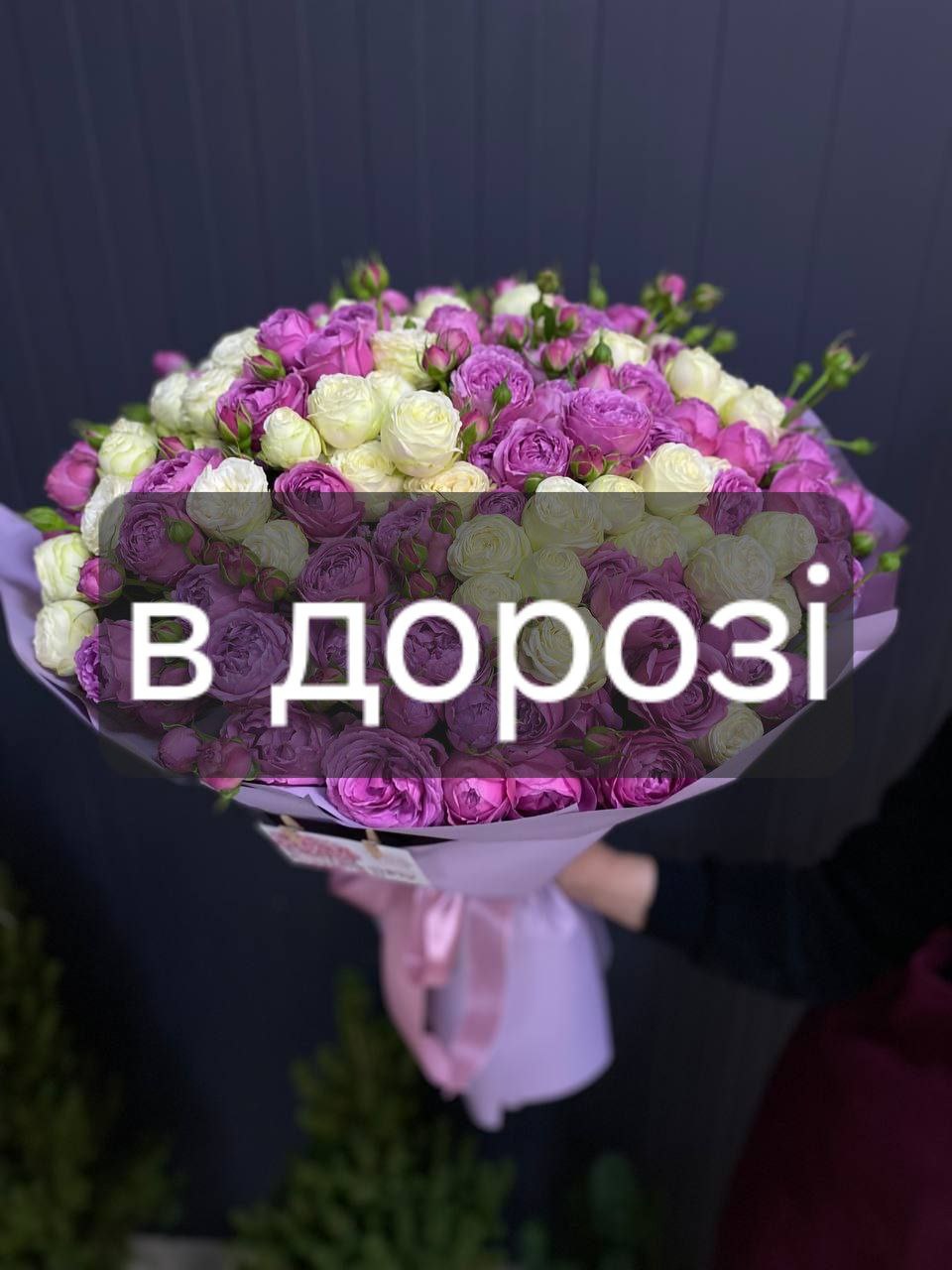 Мікс кущових троянд місті баблз та сноу волд 25шт image