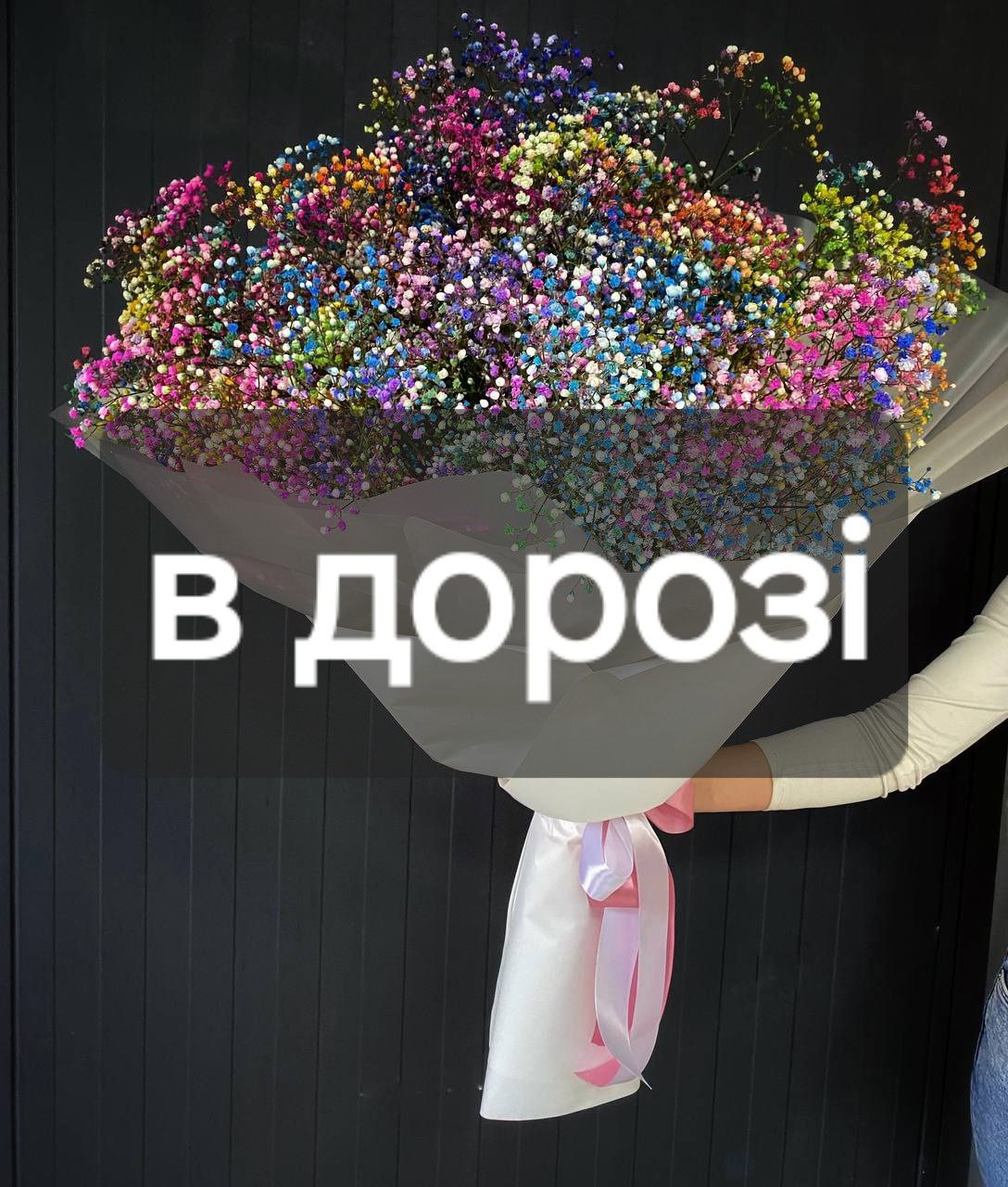 Гіпсофіл фарбований image