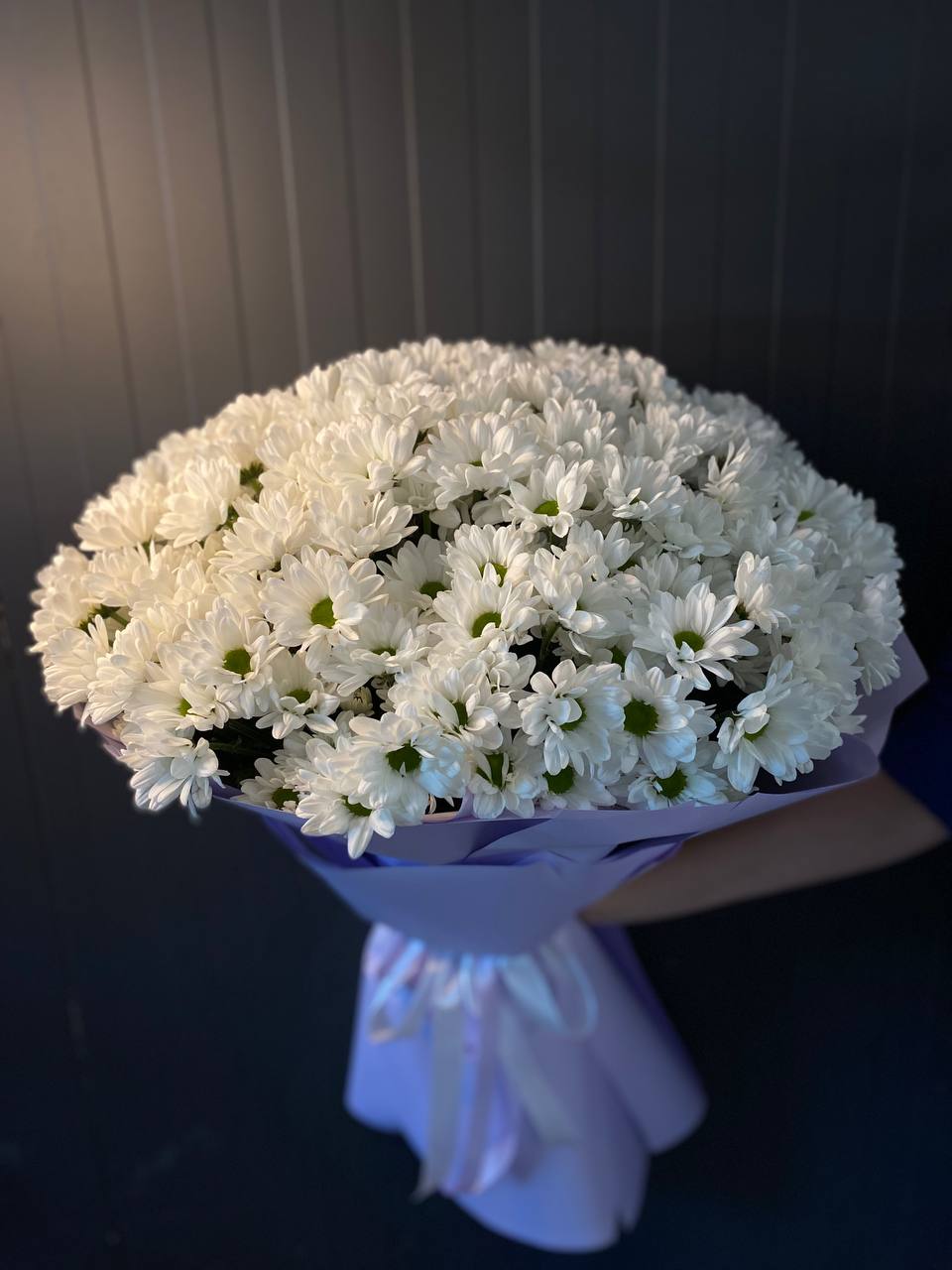 Хризантема Чік 25 гілок image