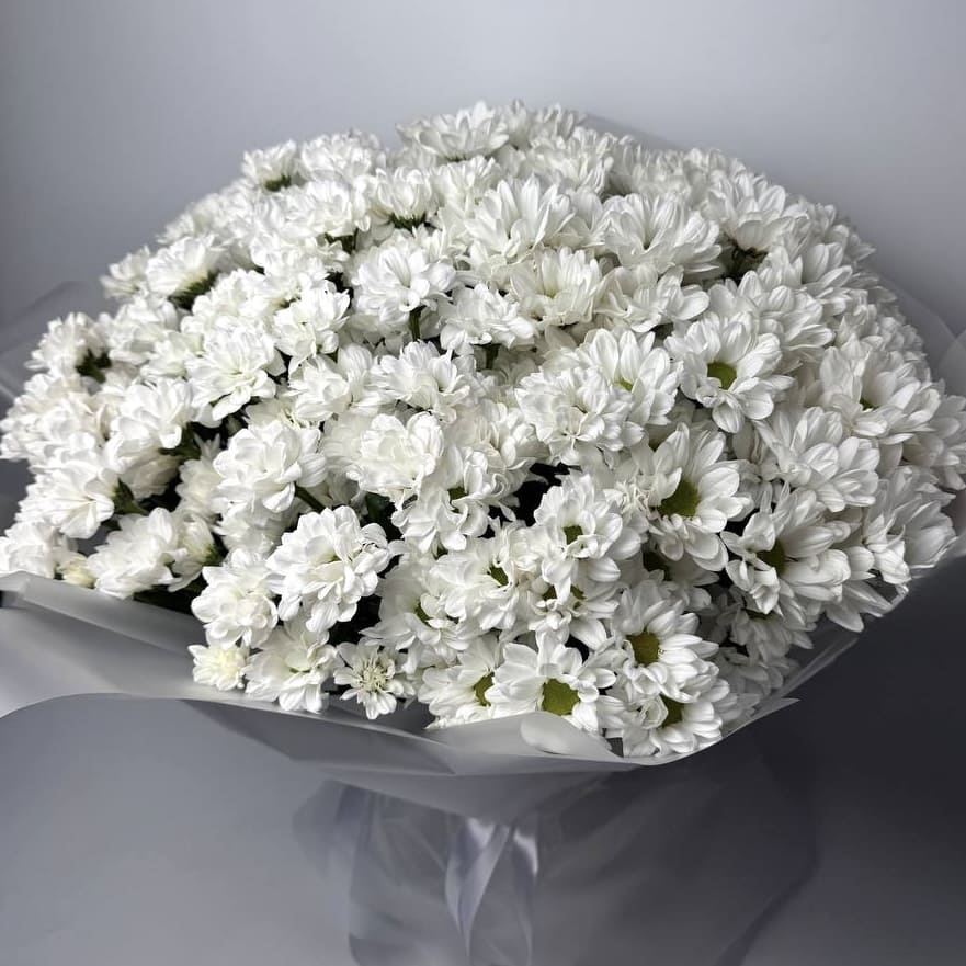 Букет хризантем Чік 25 шт image