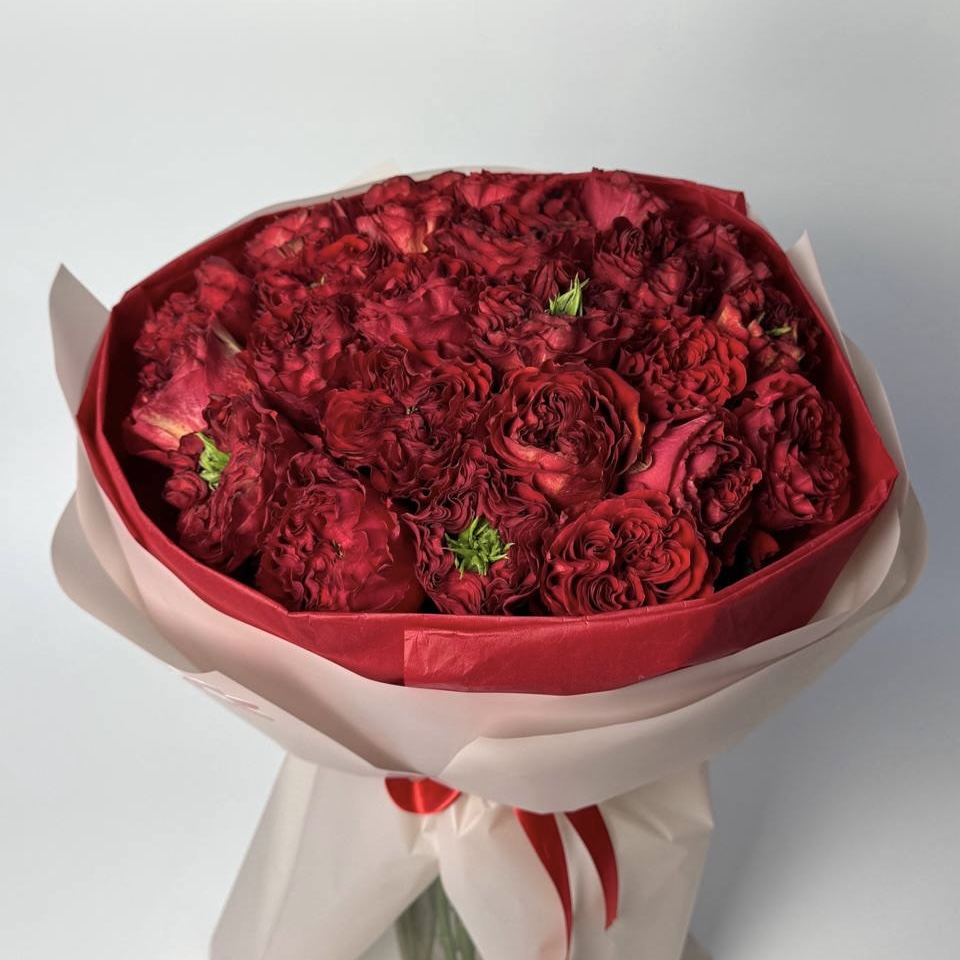 Ред Монстр 25 шт image