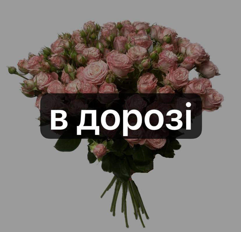 Мадам Бомбастік 19 шт image