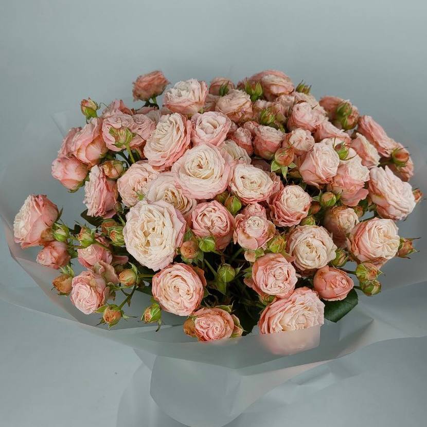 Букет троянд Мадам Бомбастік 15 шт: Кущові троянди (Рожевий) - 19.