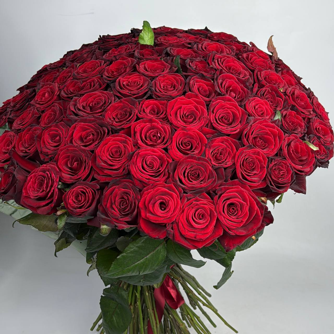 Букет троянд Гран Прі 101 шт (80см) image