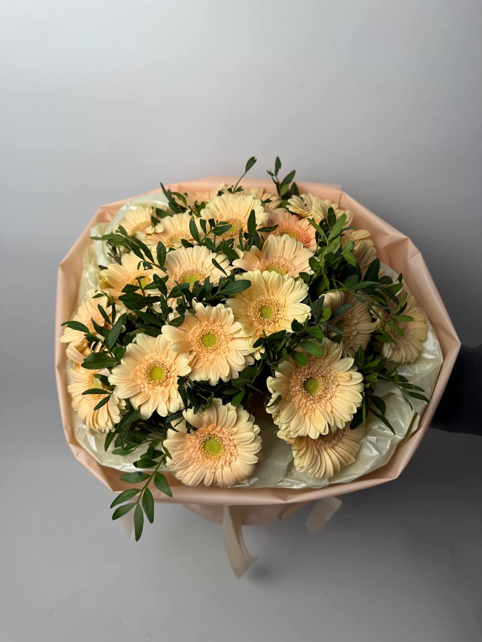 Букет гербер кремових, евкаліпт 23 шт image