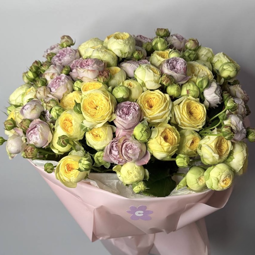 Блоссом Баблз, Піоні Баблз 15 шт image