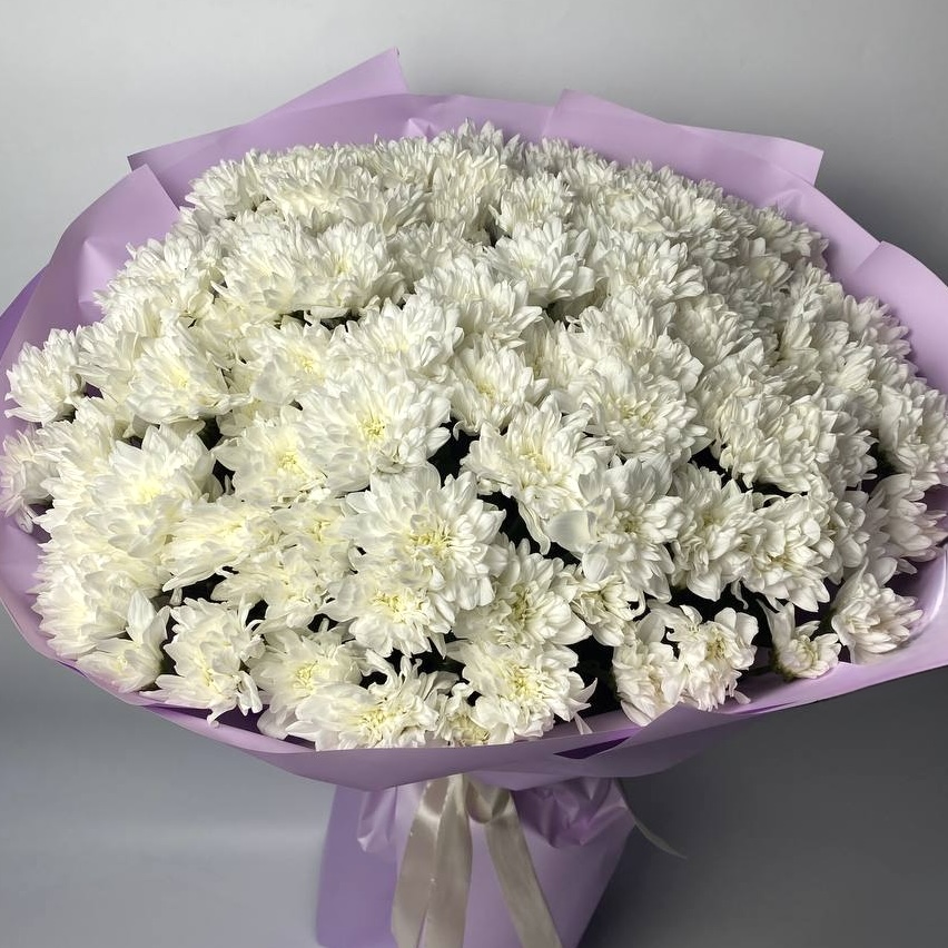 Хризантема Балтика біла 21 шт image