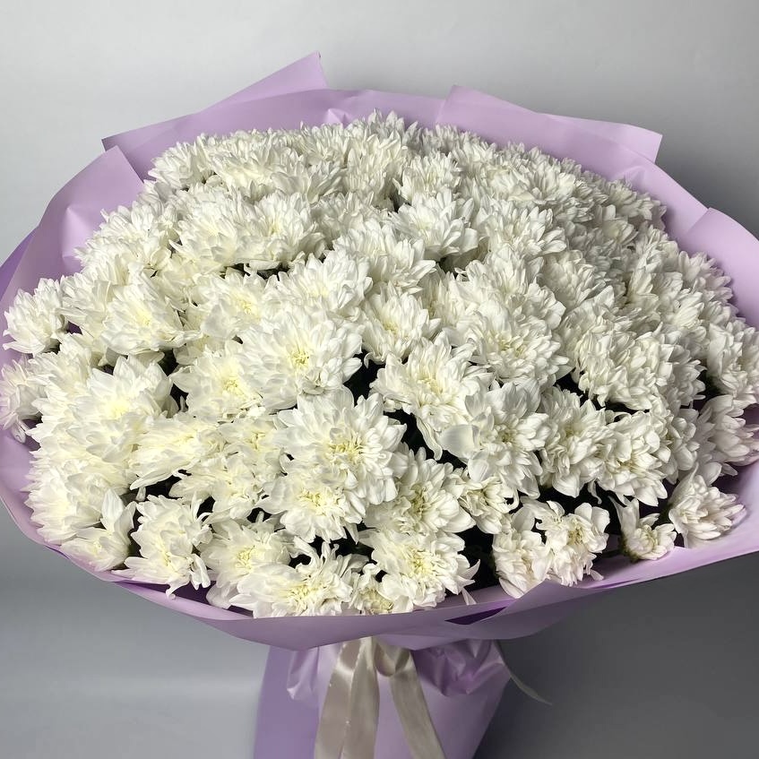 Букет хризантем білих Балтика біла 21 шт image