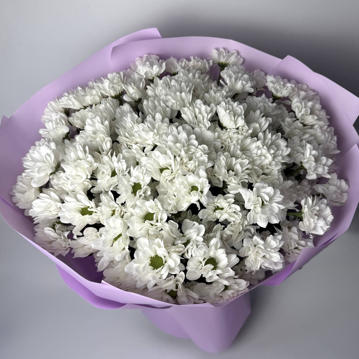 Букет хризантем Чік 21 шт image