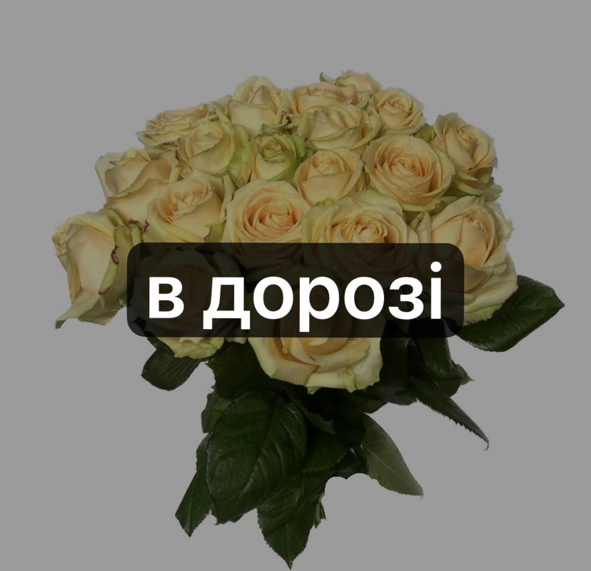 Піч Аваланч 19 шт-70 см: Троянда (Персик) - 19.