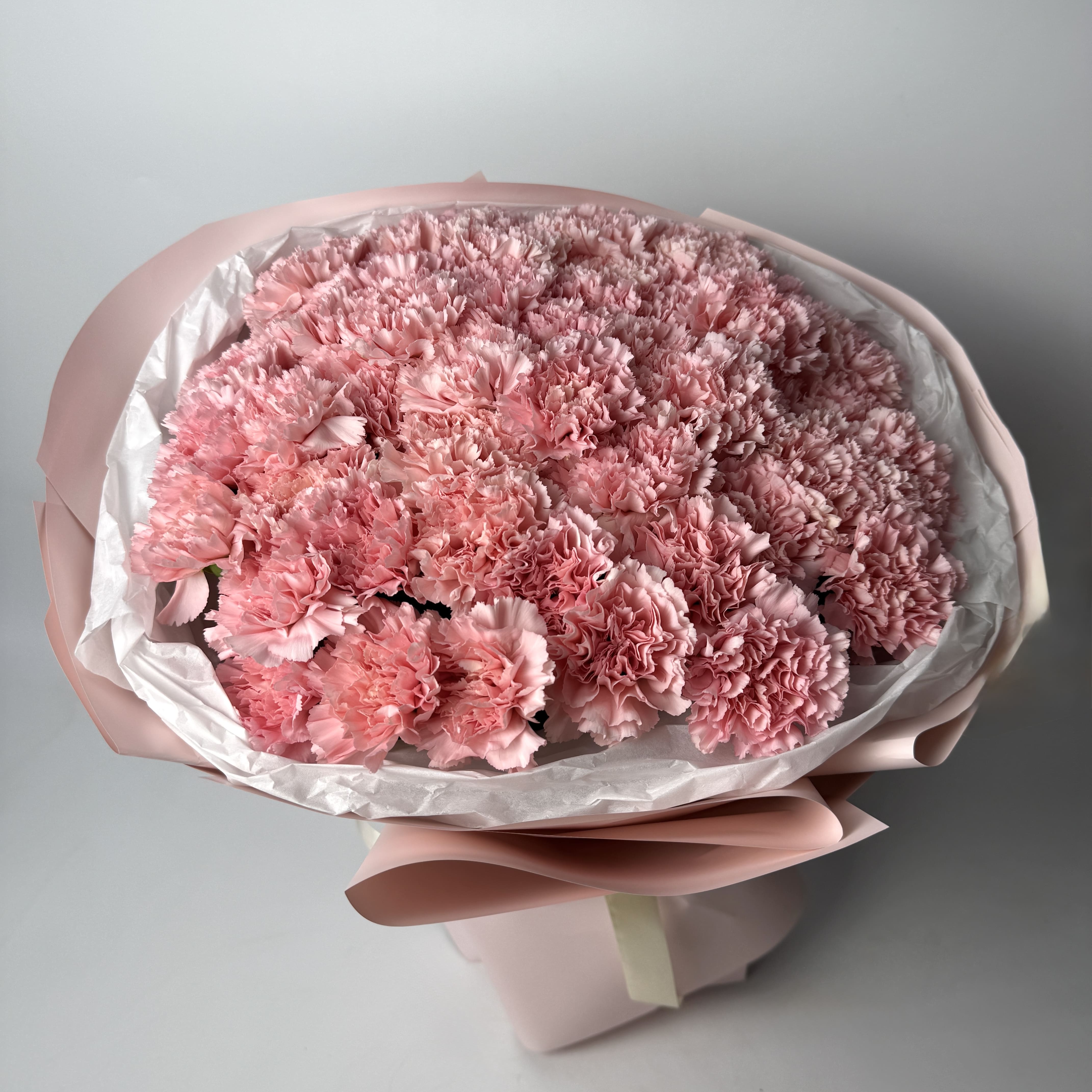 Букет діантусів ніжно рожевий 47 шт image