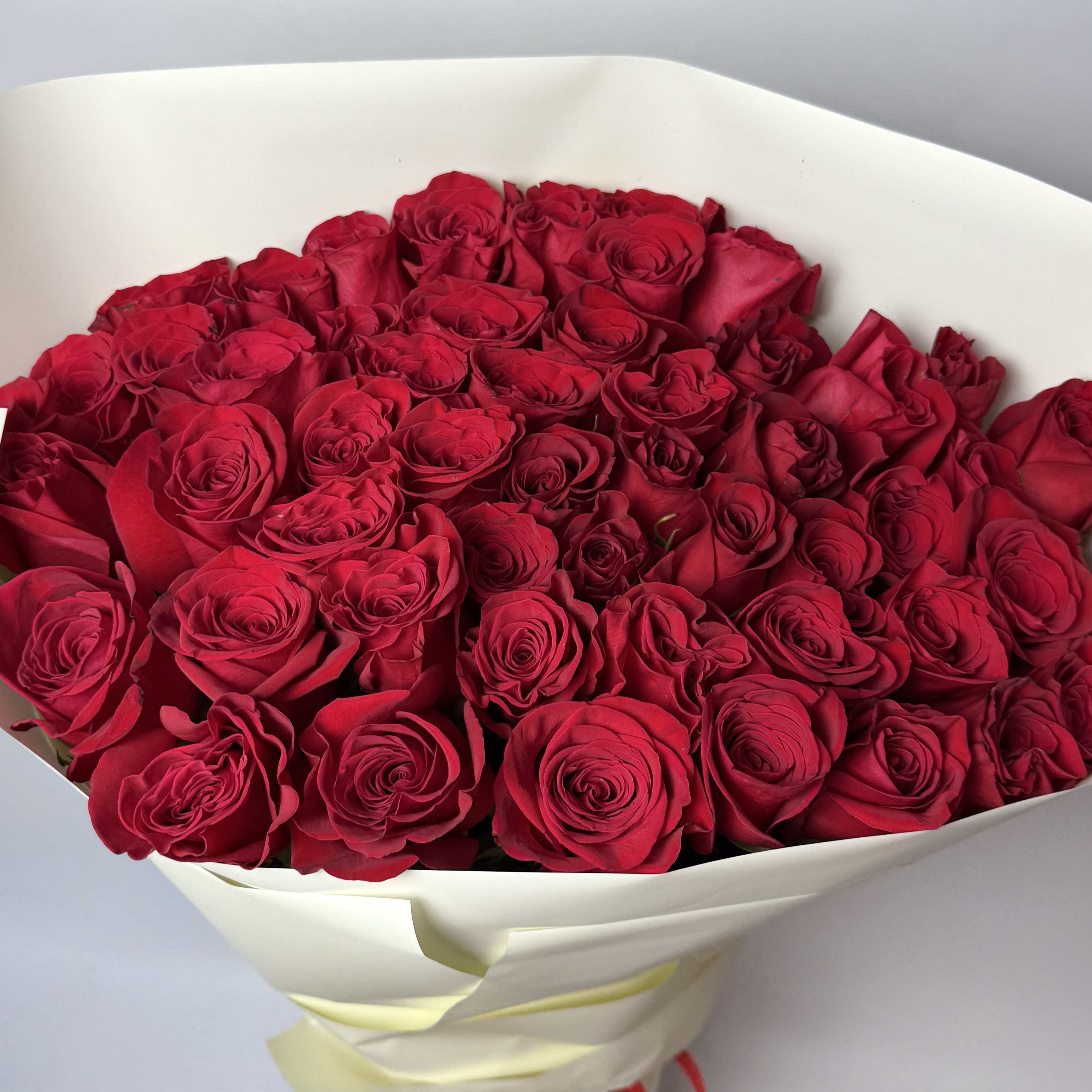 Букет троянд Фрідом 51 шт : Троянди (Червоний) - 51.