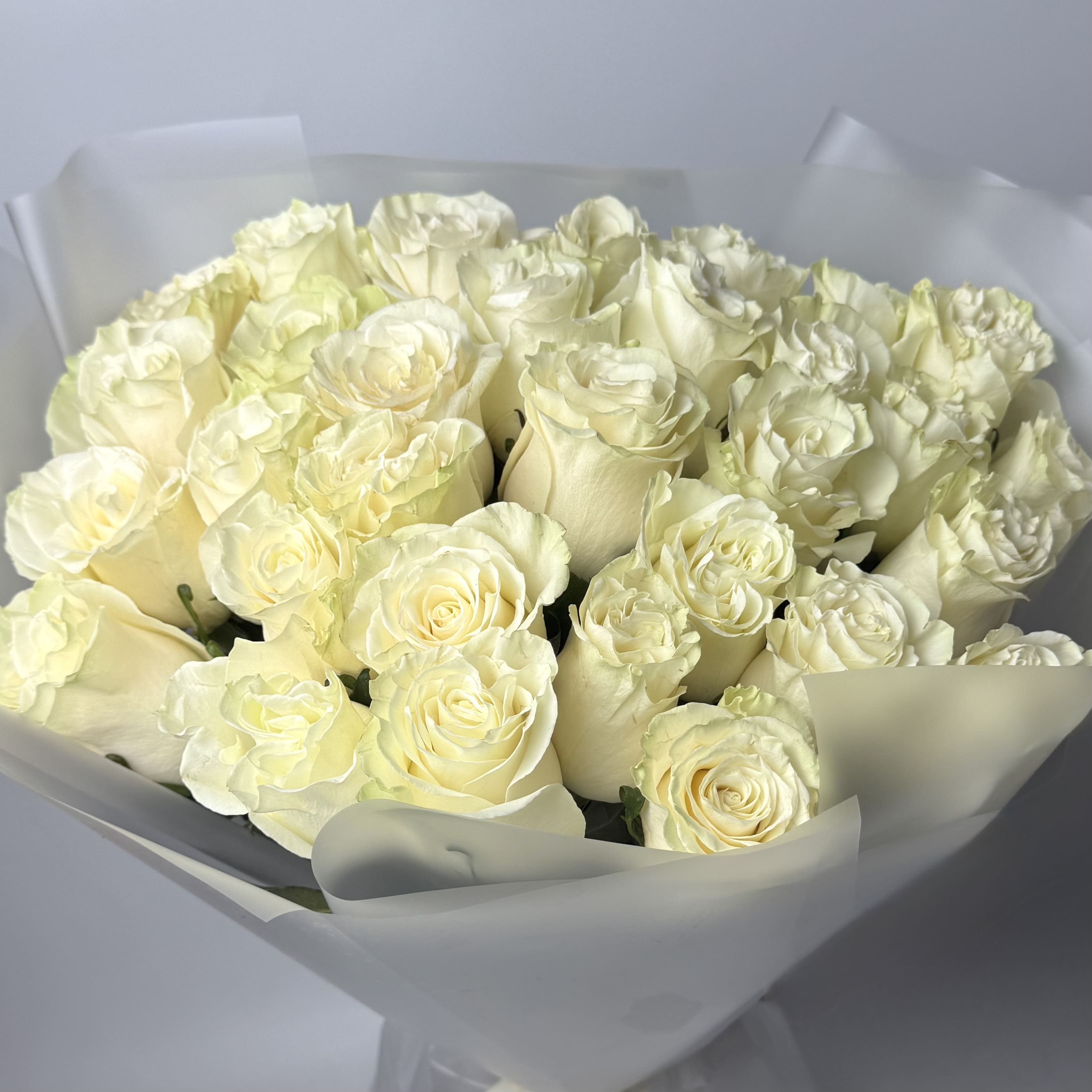 Букет троянд Мондіаль 31 шт (70 см) image