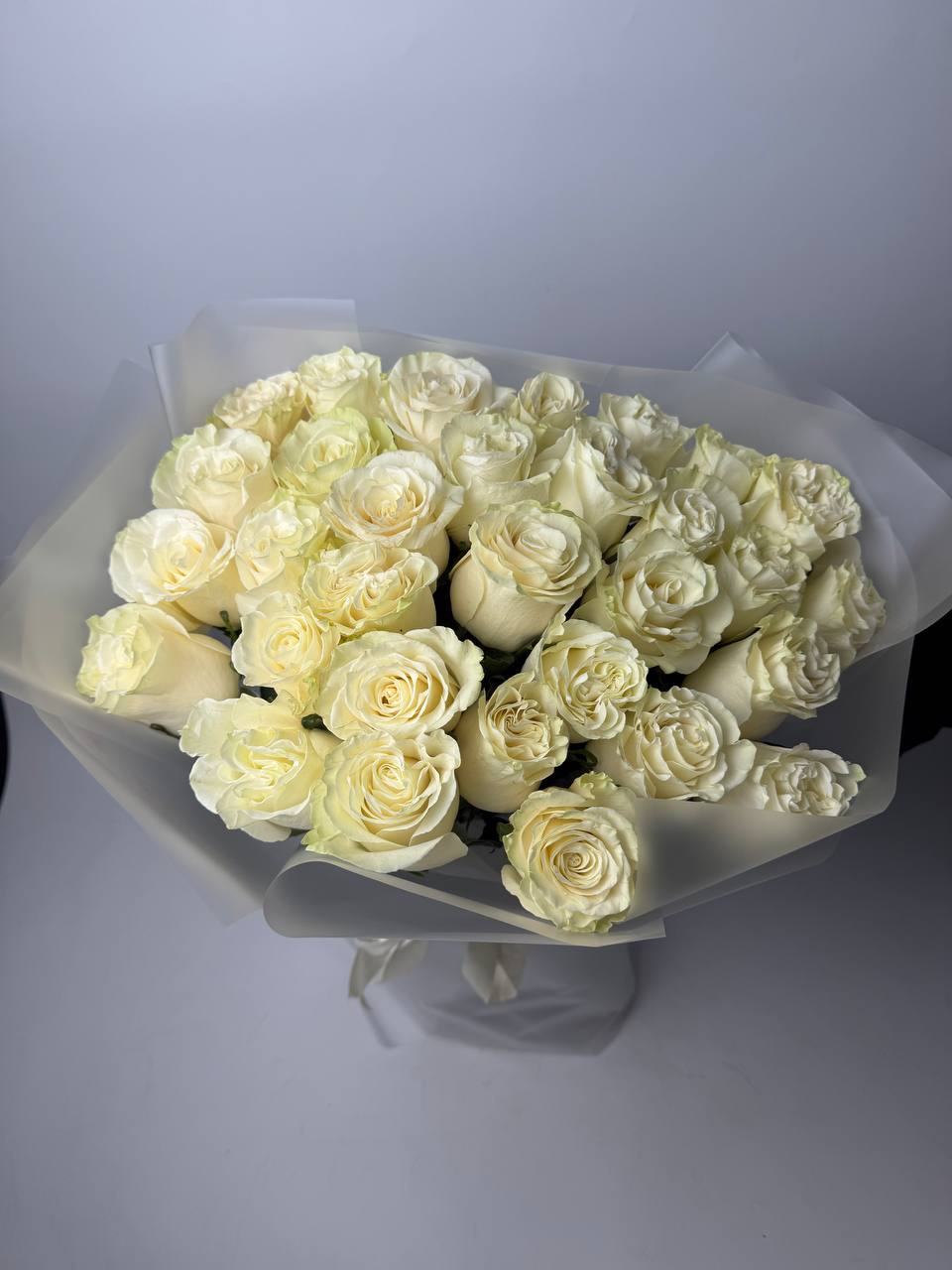 Букет троянд Мондіаль 31 шт  image