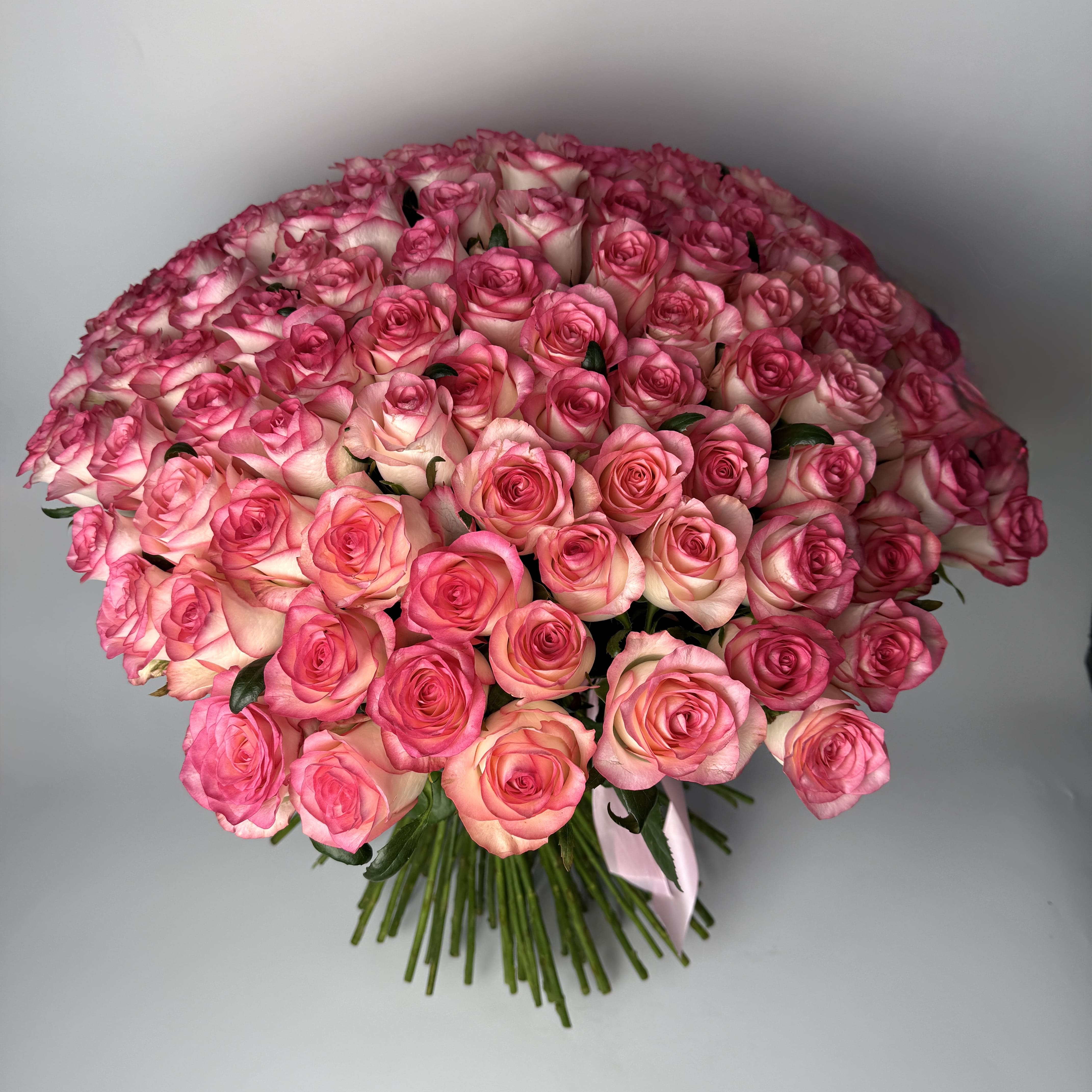 Букет троянд Джумілія 123 шт (70см) image