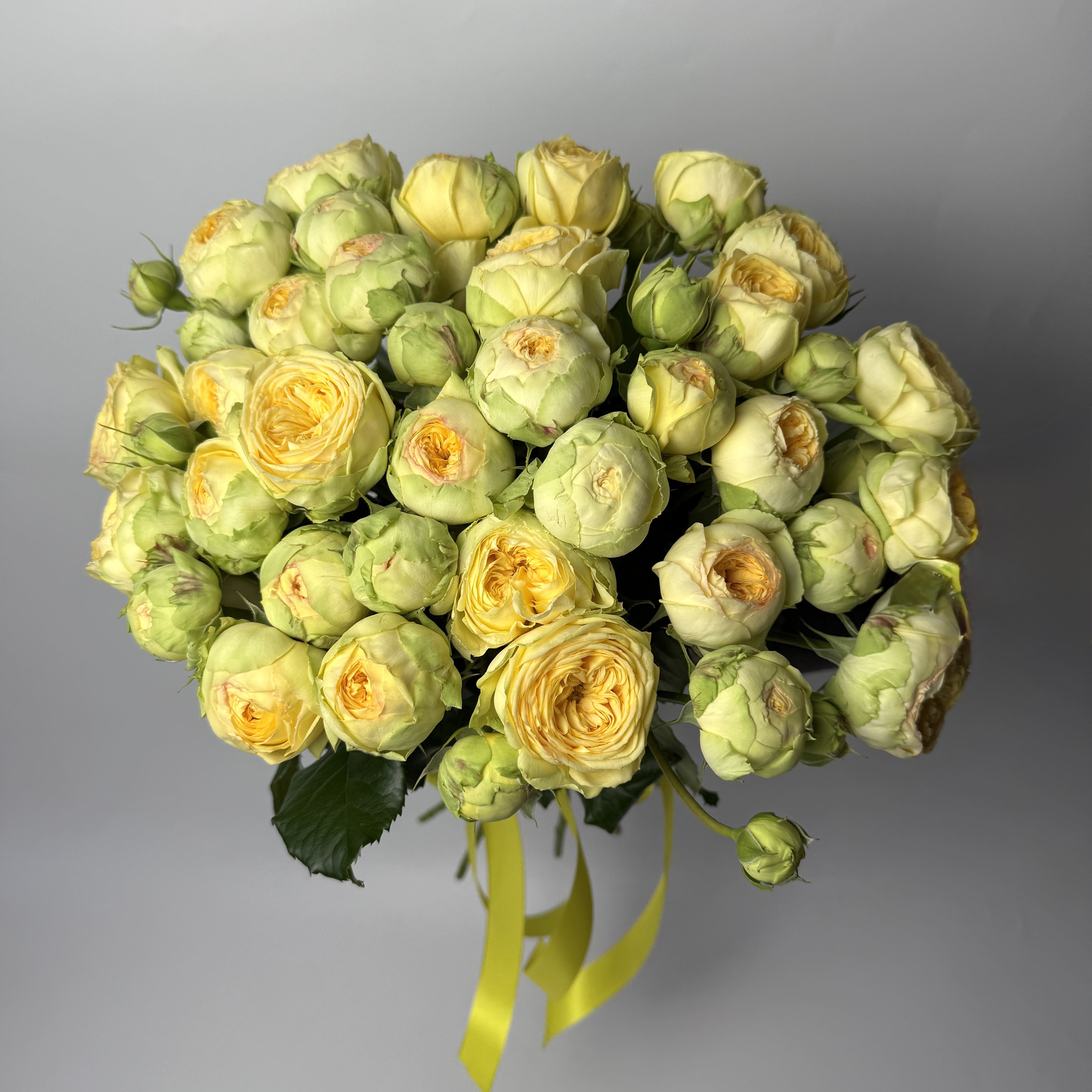 Букет троянд Піоні баблз 15 шт: Кущові троянди (Жовтий) - 15.