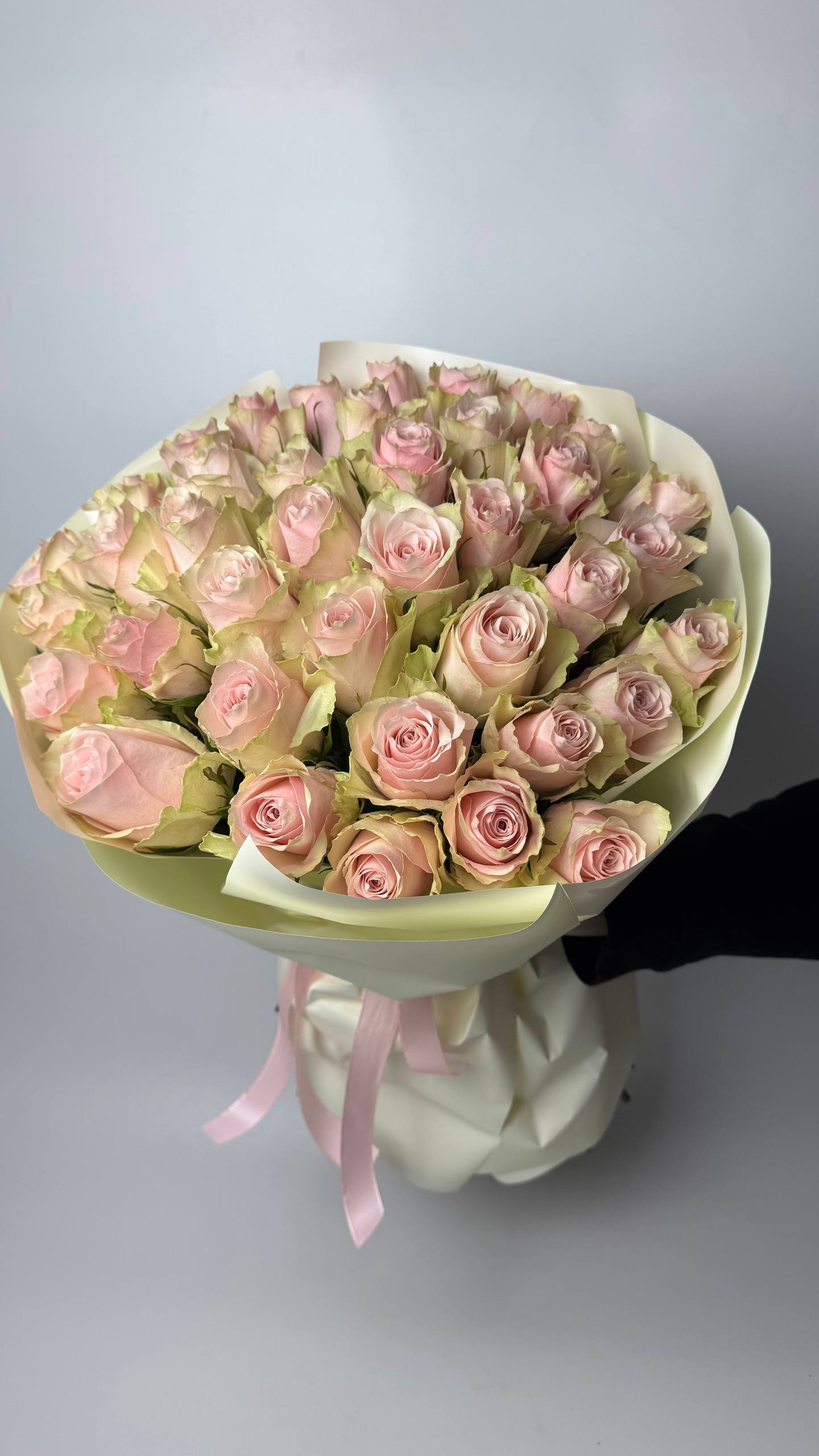 Букет троянд Пінк Атена 29 шт: Імпортна троянда (Персик) - 29.