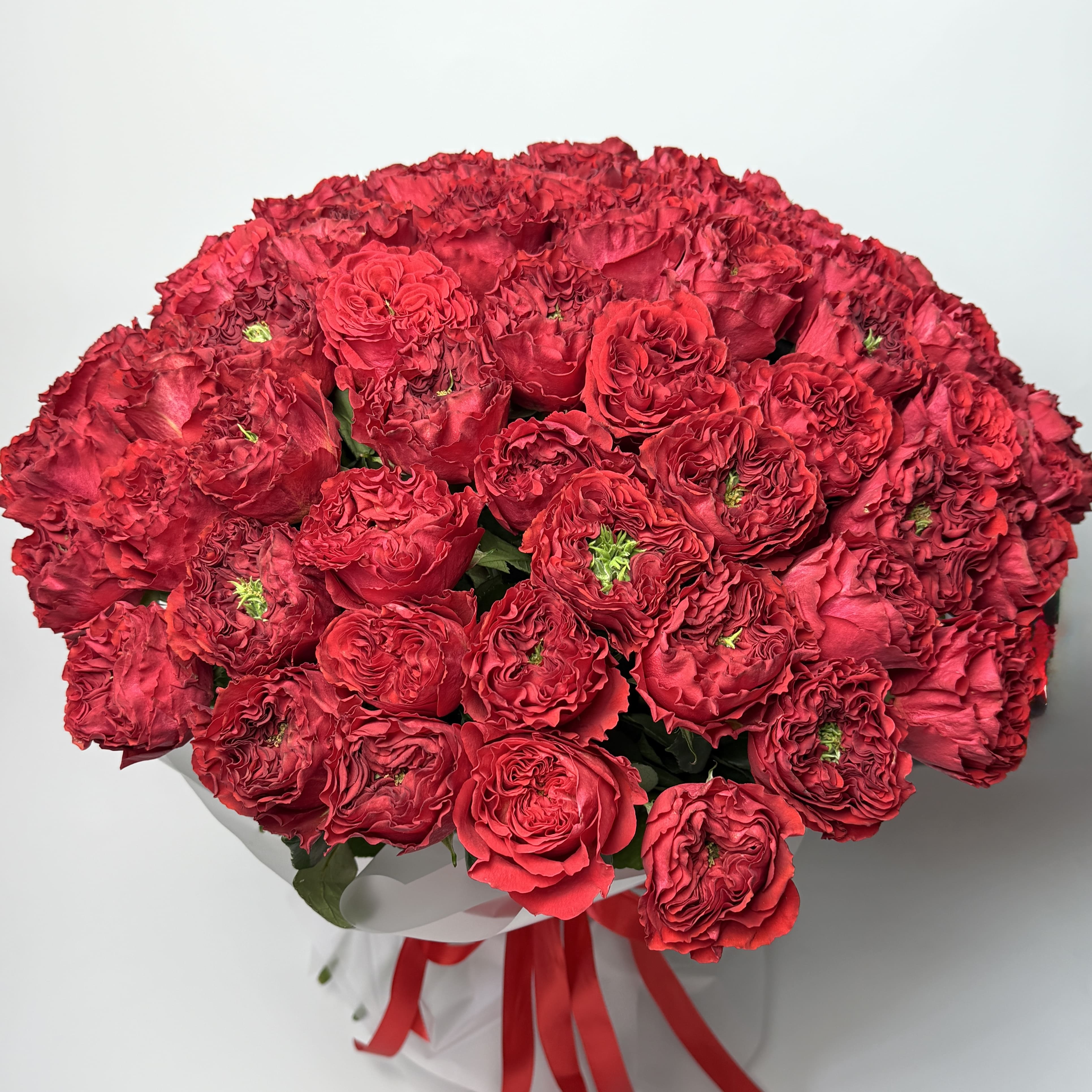 Букет троянд Ред Монстр 51 шт image