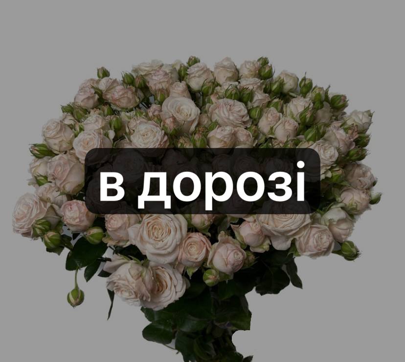 Бомбастік 20 шт-70 см: Кущова троянда (Рожевий) - 20.