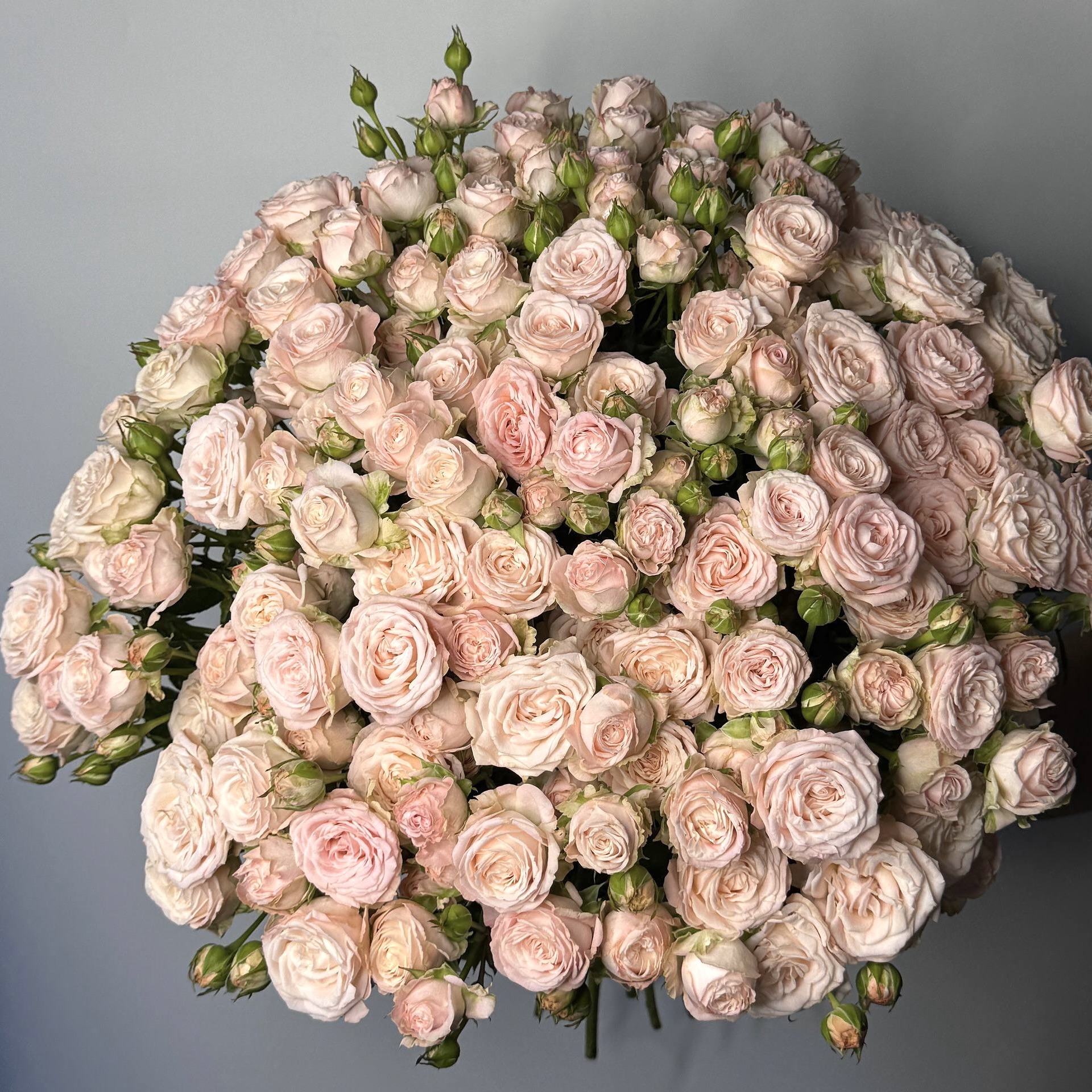 Букет троянд Бомбастік 25 шт image