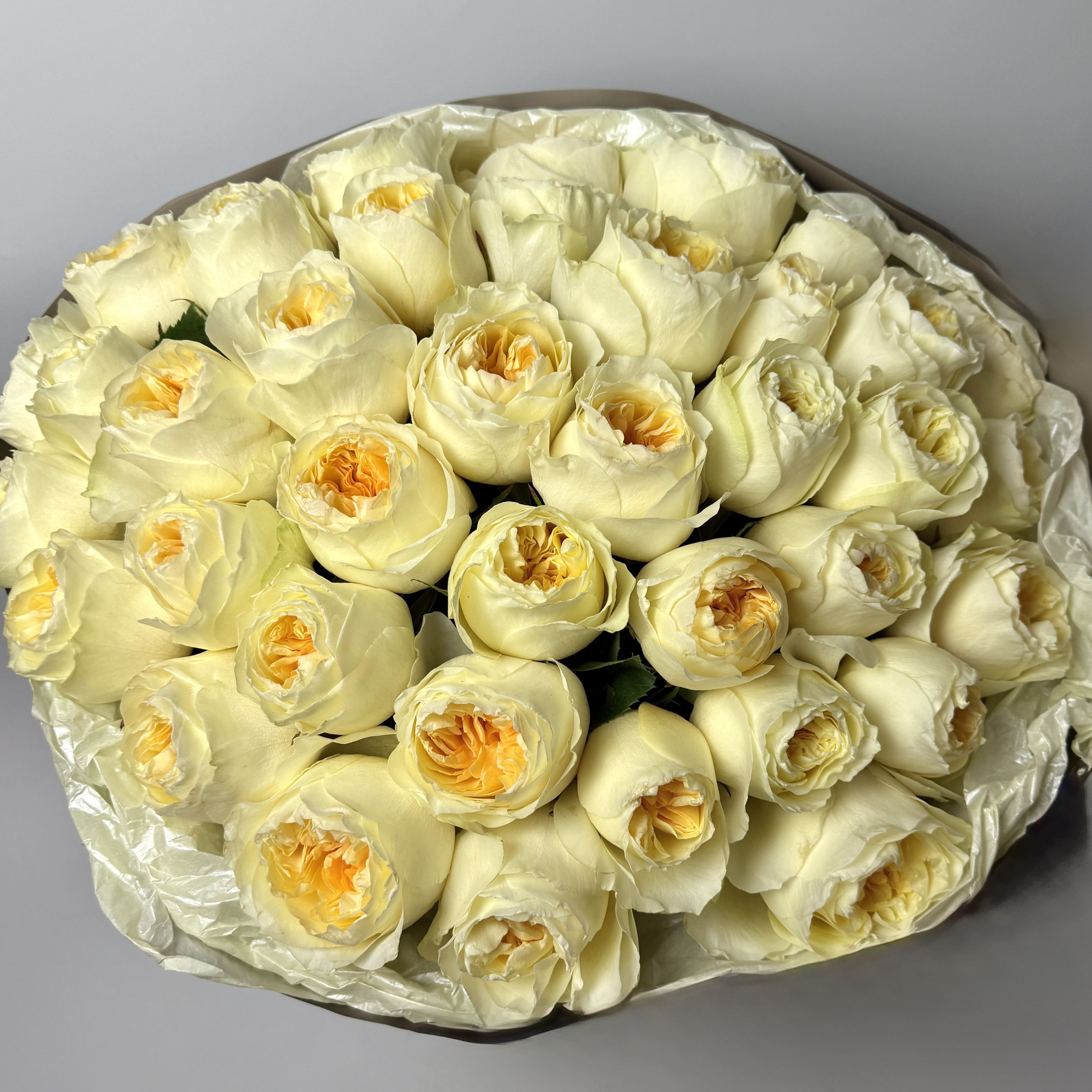 Букет троянд Антоніо Гарден 51 шт image