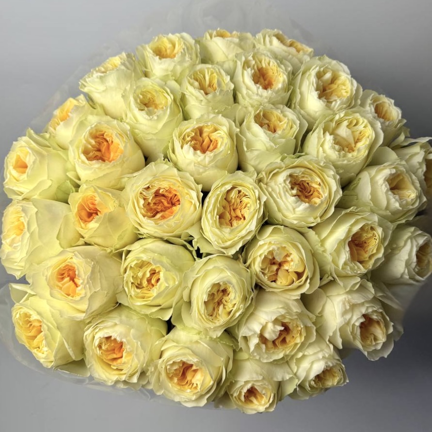 Букет троянд Антоніо Гарден 51 шт: Імпортна троянда (Жовтий) - 51.