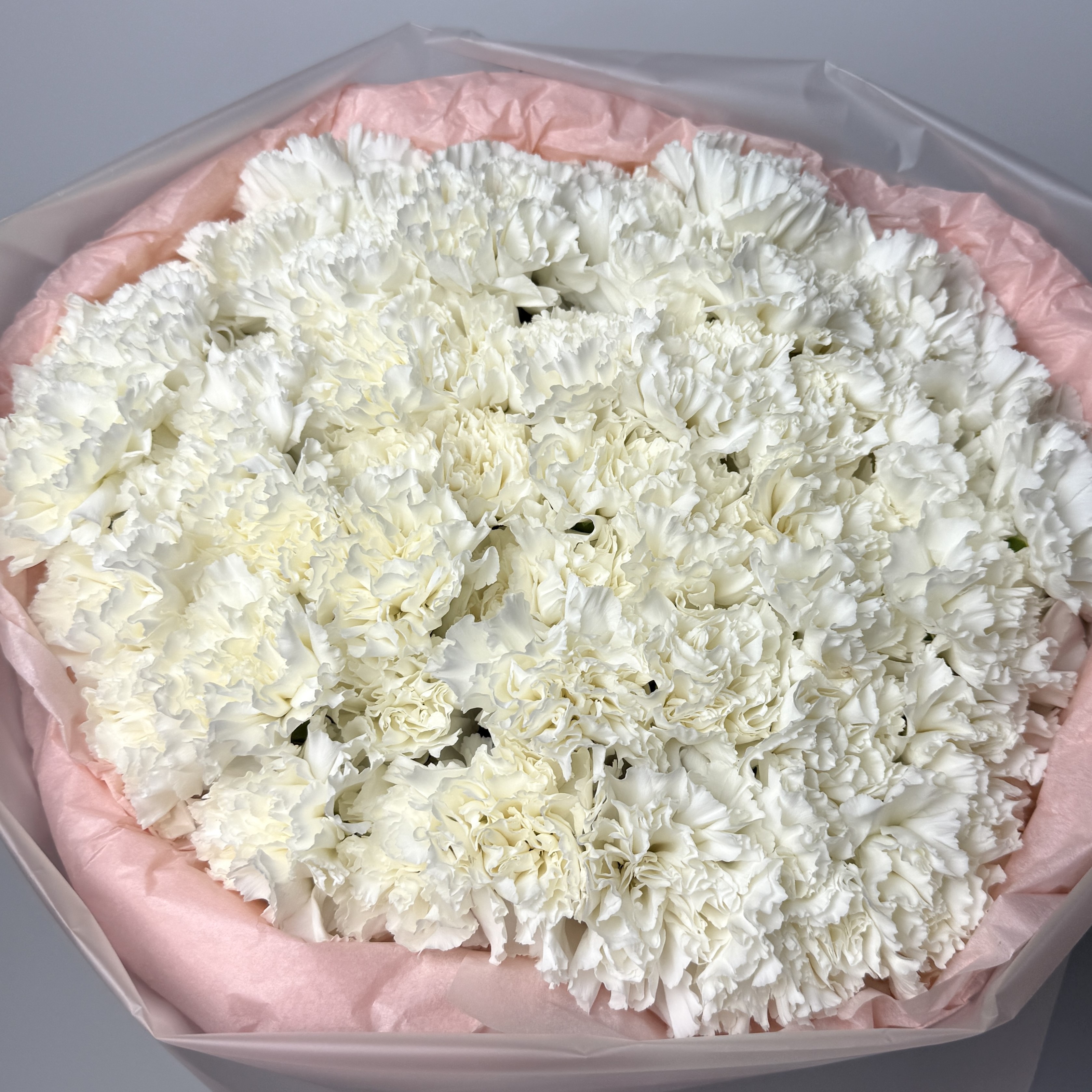 Букет діантусів білих 51 шт image