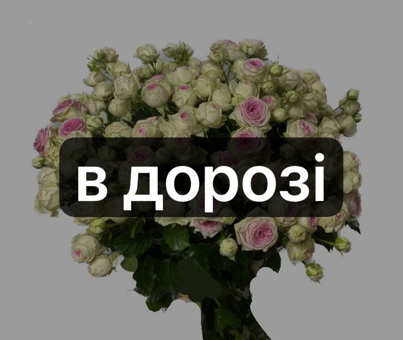 Джелатто 20 шт-70 см: Кущова троянда (Білий) - 20.