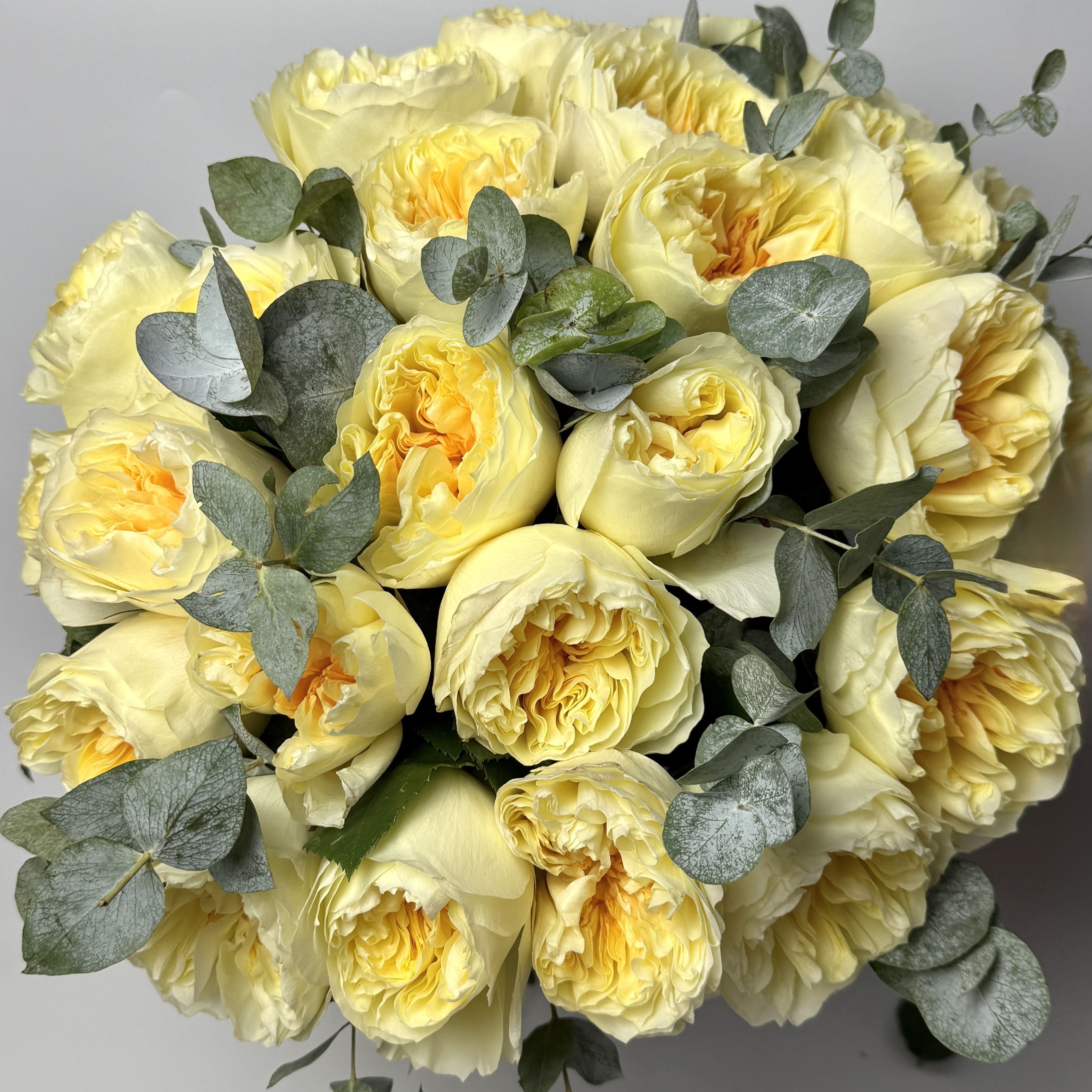 Букет троянд Антоніо Гарден 25 шт: Імпортна троянда (Жовтий) - 25.