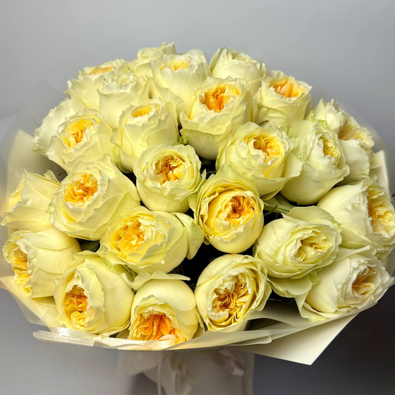 Букет троянд Антоніо Гарден 25 шт image