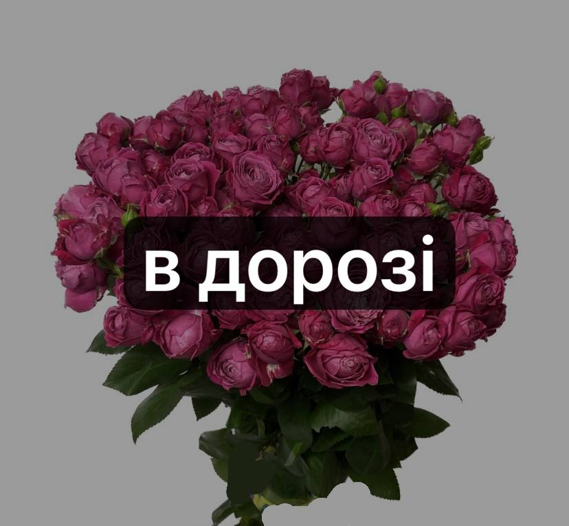 Марвелоус Баблз 20 шт-70 см: Кущова троянда (Рожевий) - 20.