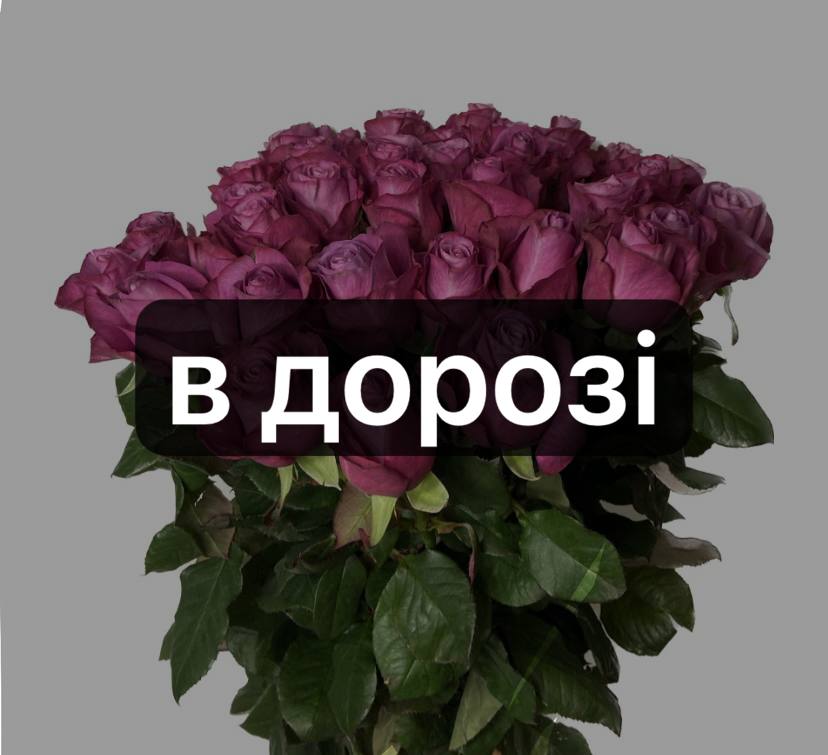 Принц Персії 39 шт-70 см: Троянда (Фіолетовий) - 39.
