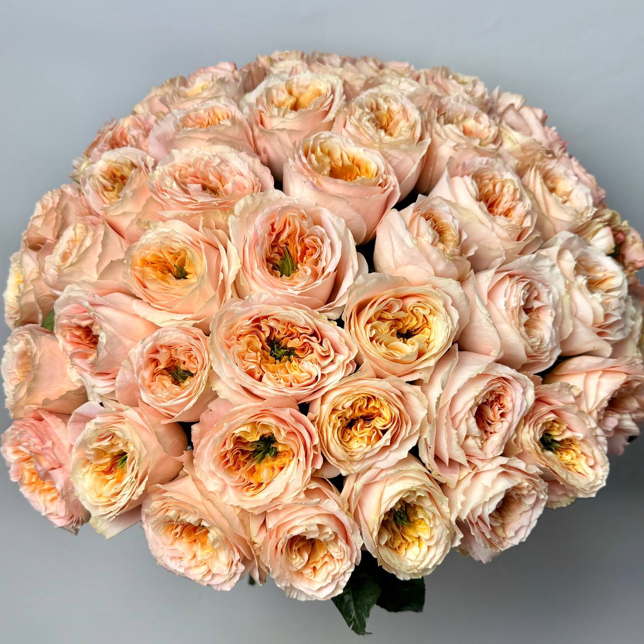 Букет троянд Мелон Експрешн 51 шт image