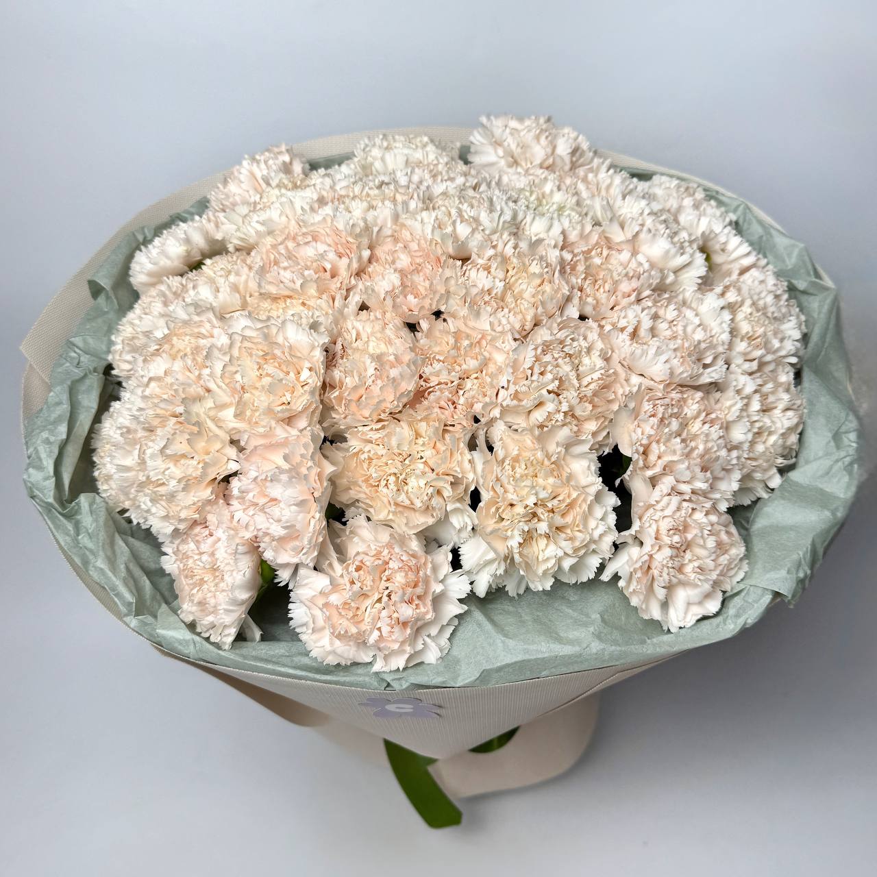 Букет діантусу кремовий 41 шт image