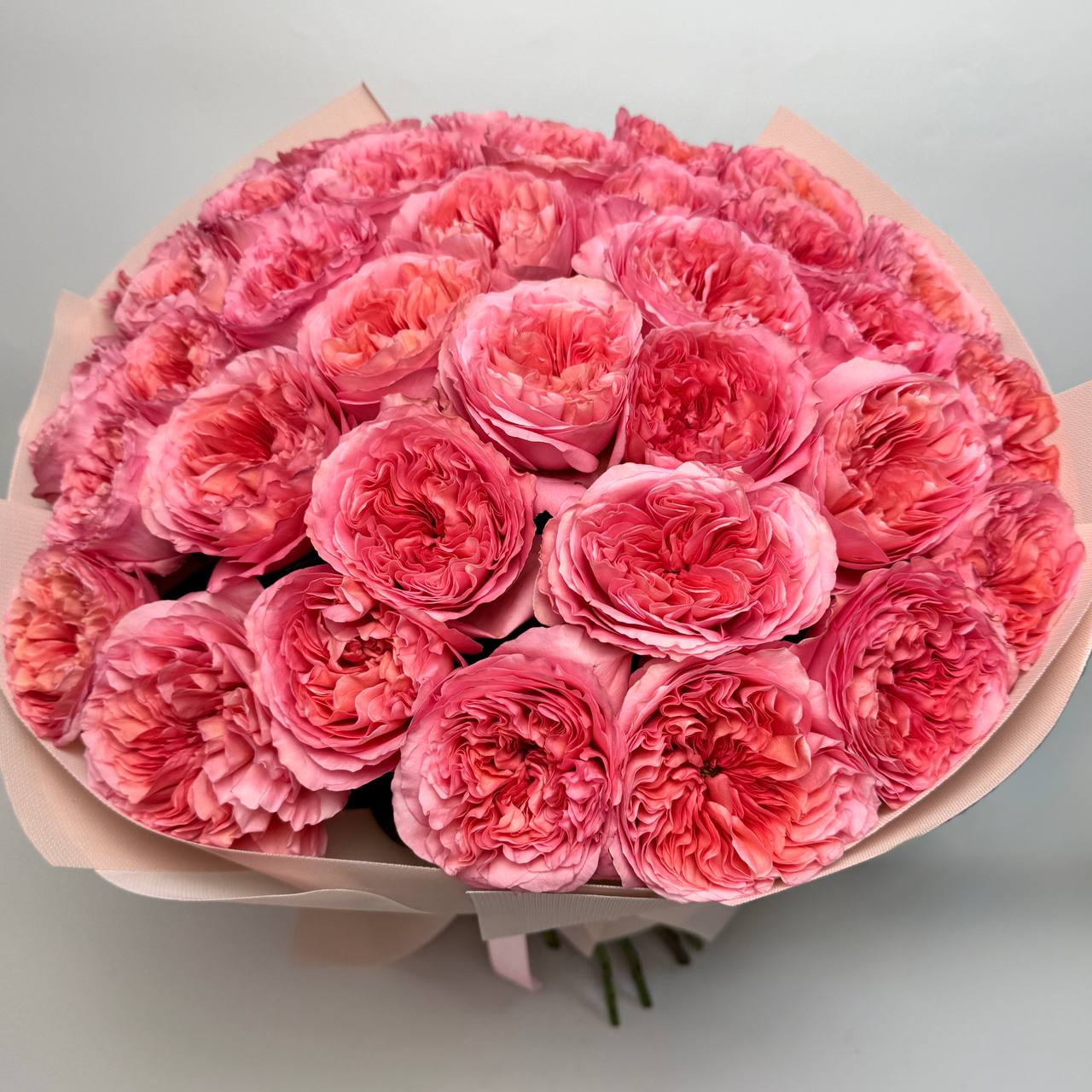 Букет троянд Кенді Експрешн 35 шт image