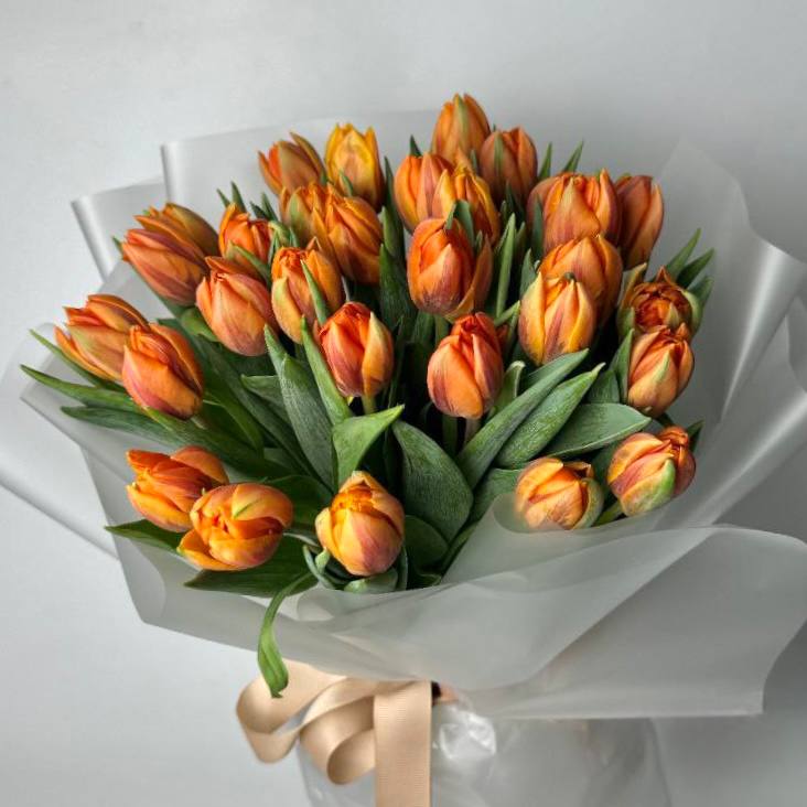 Букет тюльпанів помаранчевий 31 шт image