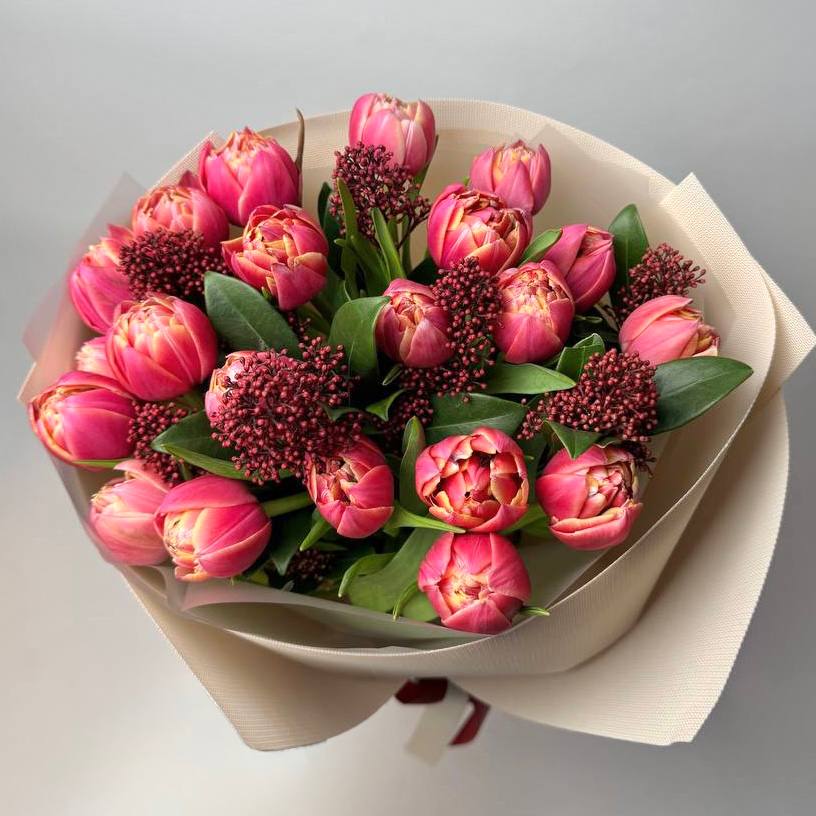 Букет тюльпанів Колумбус 25 шт, Скіммія: Збірні букети (Рожевий) - 25.