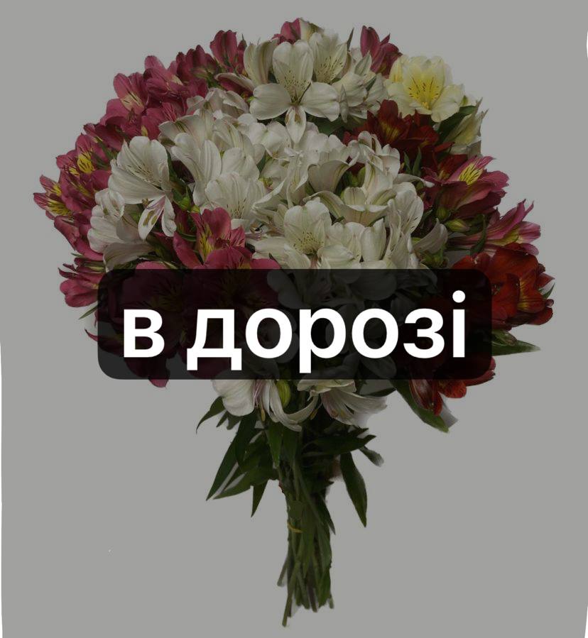 Альстромерія image