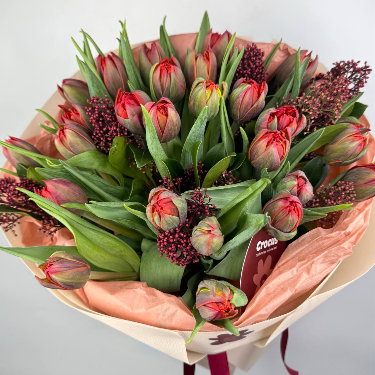 Букет тюльпанів червоних 27 шт, Скіммія image