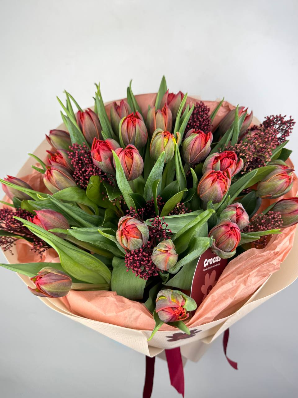 Букет тюльпанів червоних 27 шт, Скіммія image