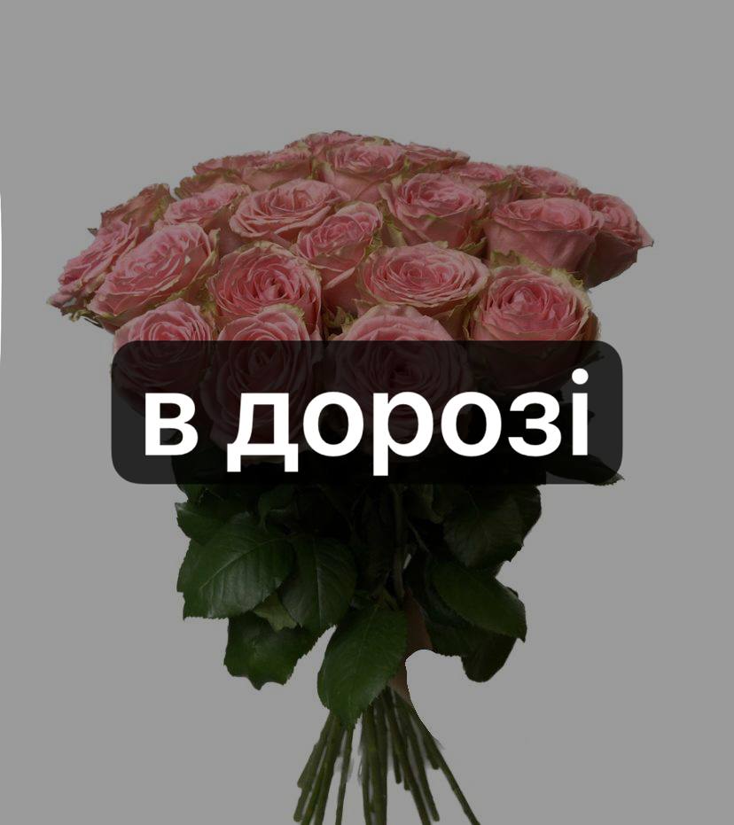 Софі Лорен 19 шт-70 см: Троянда (Рожевий) - 19.