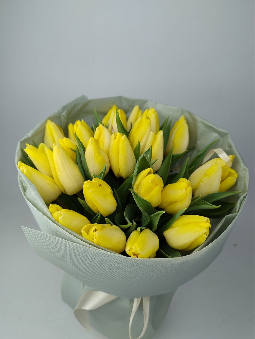 Тюльпан жовтий 25 шт: Тюльпани (Жовтий) - 25.
