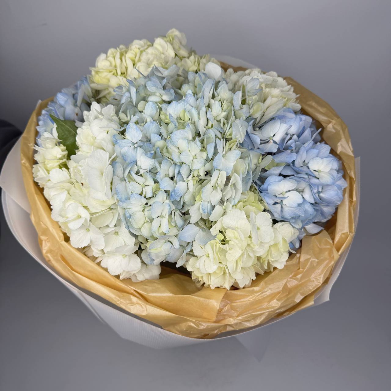 Букет біло-блакитних гортензій 9 шт: Гортензія (Мікс) - 9.