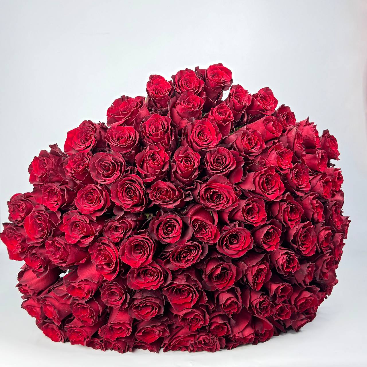 Букет троянд Експлоєр 101 шт  image