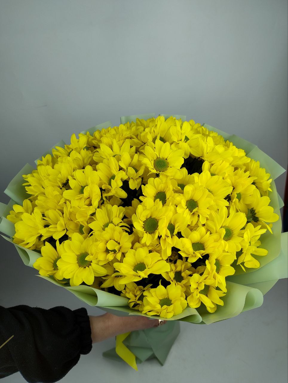 Букет хризантем Копа 15 гілок image