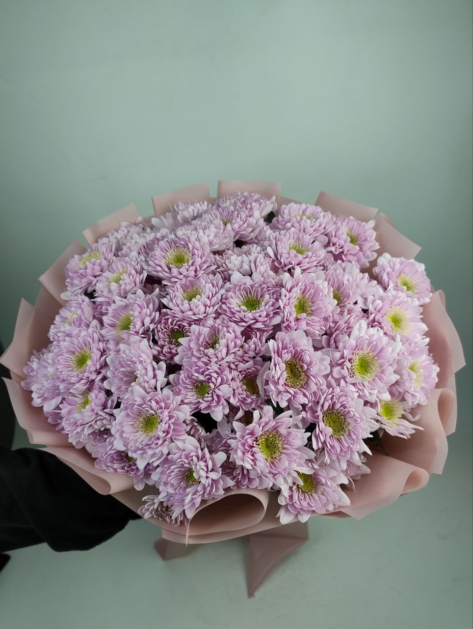 Букет Хризантем Командер Пінк 15 гілок image