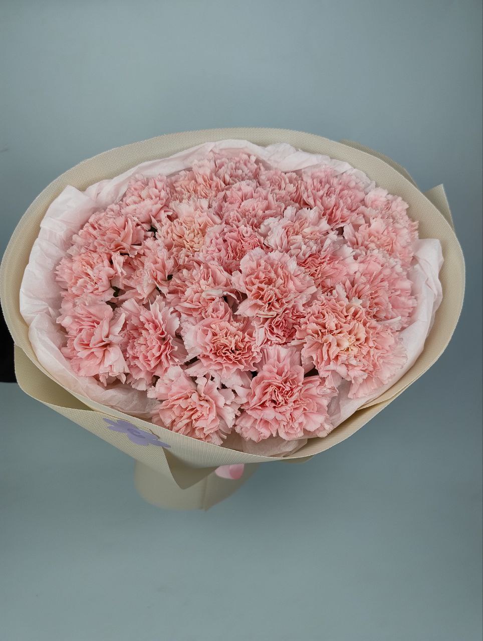 Букет рожевих діантусів 25шт: Діантуси (Рожевий) - 25.