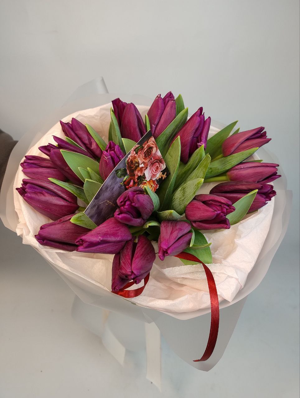 Тюльпан темно фіолетовий 17 шт image