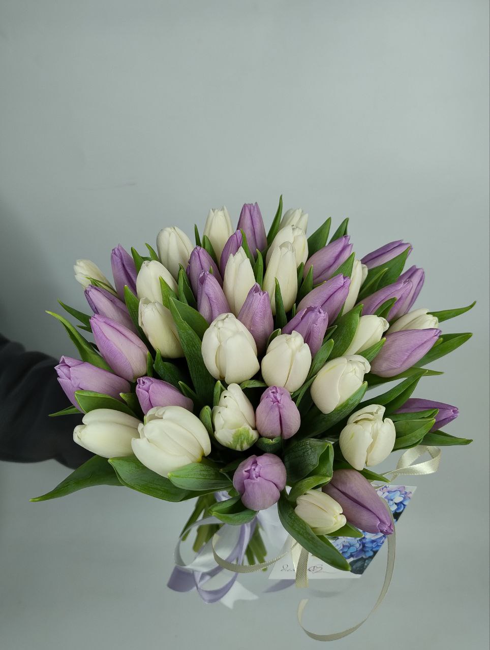 Мікс білих на фіолетофих тюльпанів 41 шт image